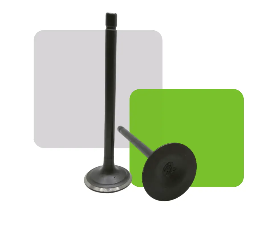 VALVULAS ACERADAS ADM/ESC CG200